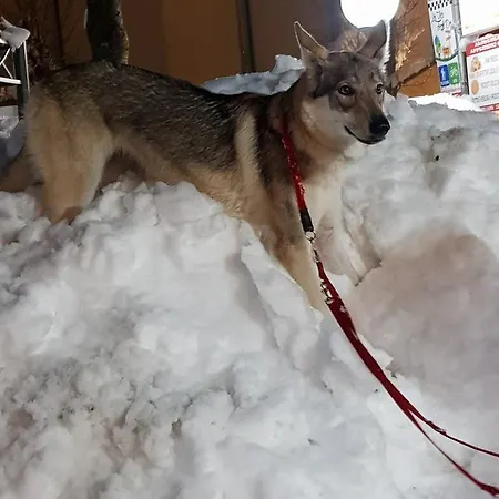 Hotel Ristorante Poli Madonna di Fornelli