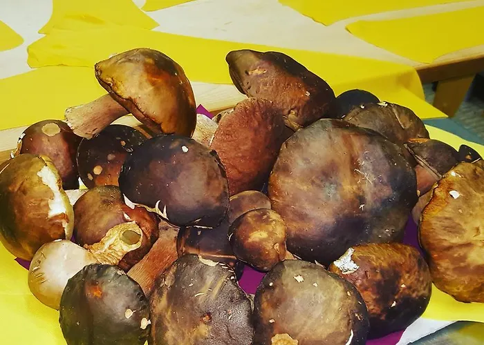 Hotel Ristorante Poli