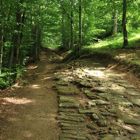 Ristorante Poli Otel