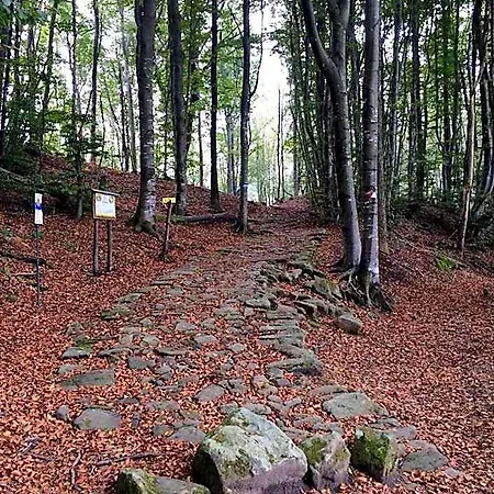 Ristorante Poli מלון