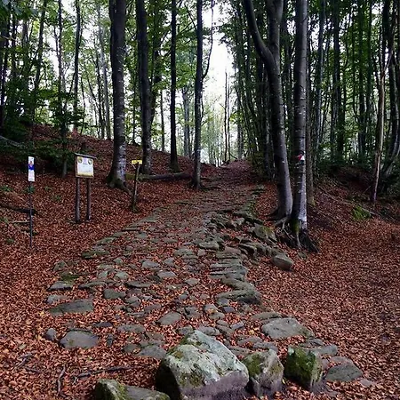 Ristorante Poli 2* Madonna di Fornelli