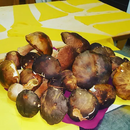 Hotel Ristorante Poli