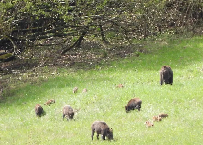 Hotel Ristorante Poli 2*