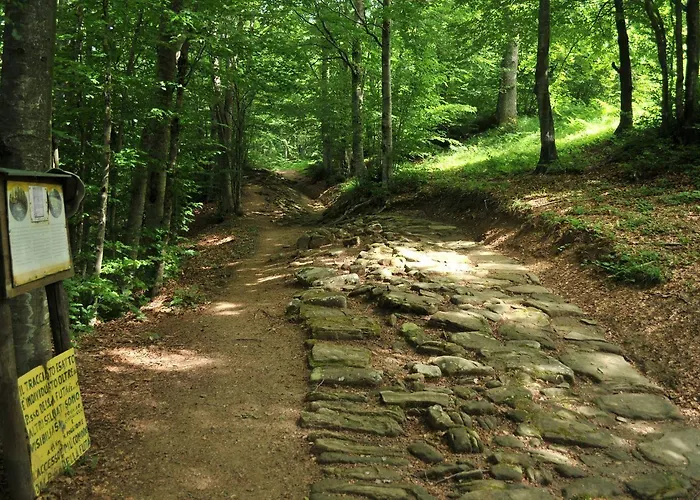 Ristorante Poli 호텔