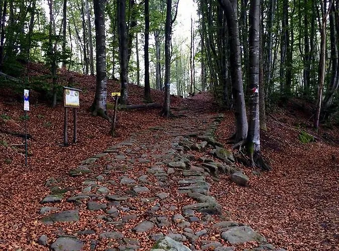 Ristorante Poli 2* Madonna di Fornelli