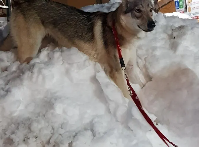 호텔 Ristorante Poli Madonna di Fornelli